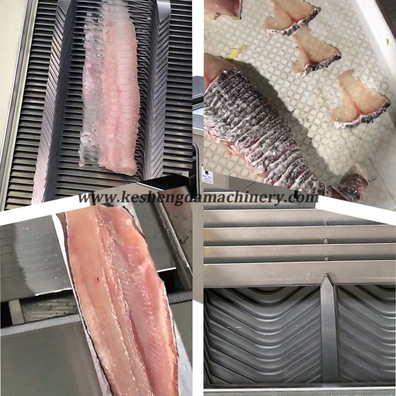 Fully Automatic Oblique Cutting Fish Fillet Machine / Fish Fillet Slicing Machine